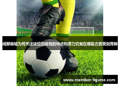 成都蓉城为何关注这位边锋他的特点和潜力究竟在哪些方面受到青睐